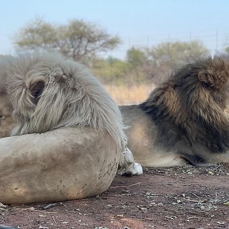 Simba Safaris African Pride Exotic Lodge Lephalale Esterno foto