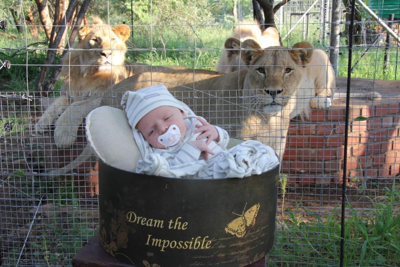 Simba Safaris African Pride Exotic Lodge Lephalale Esterno foto