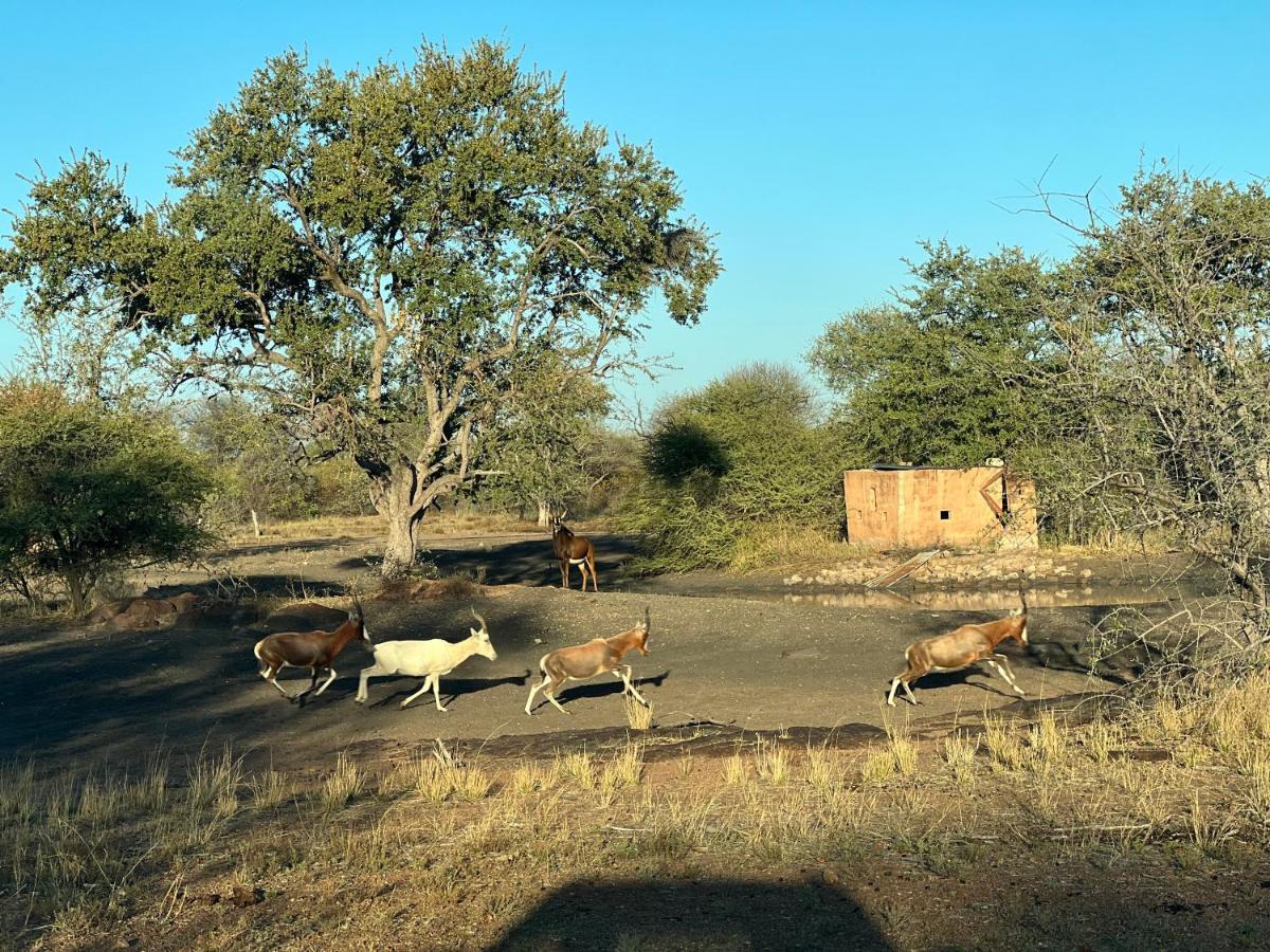 Simba Safaris African Pride Exotic Lodge Lephalale Esterno foto