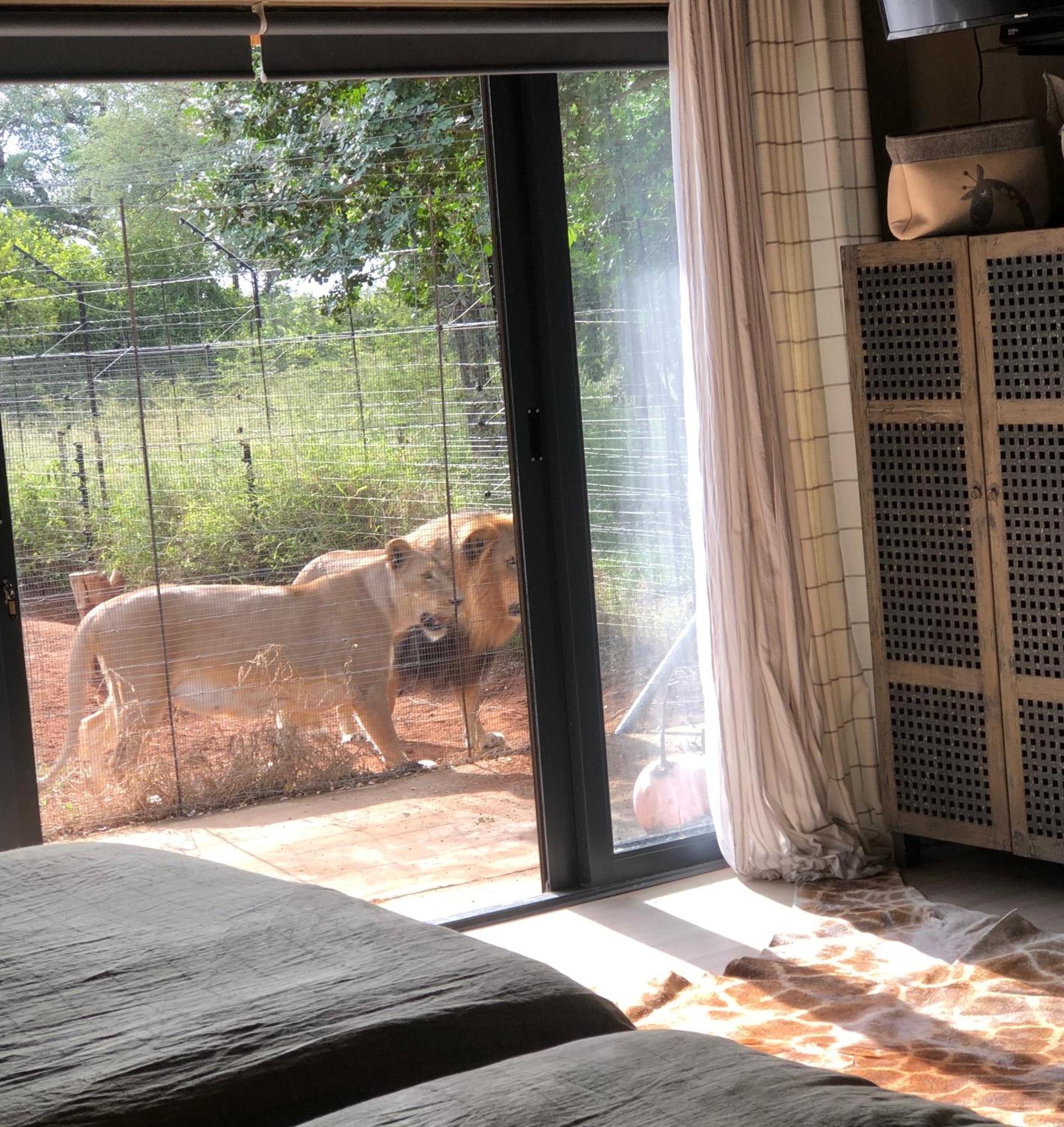 Simba Safaris African Pride Exotic Lodge Lephalale Esterno foto
