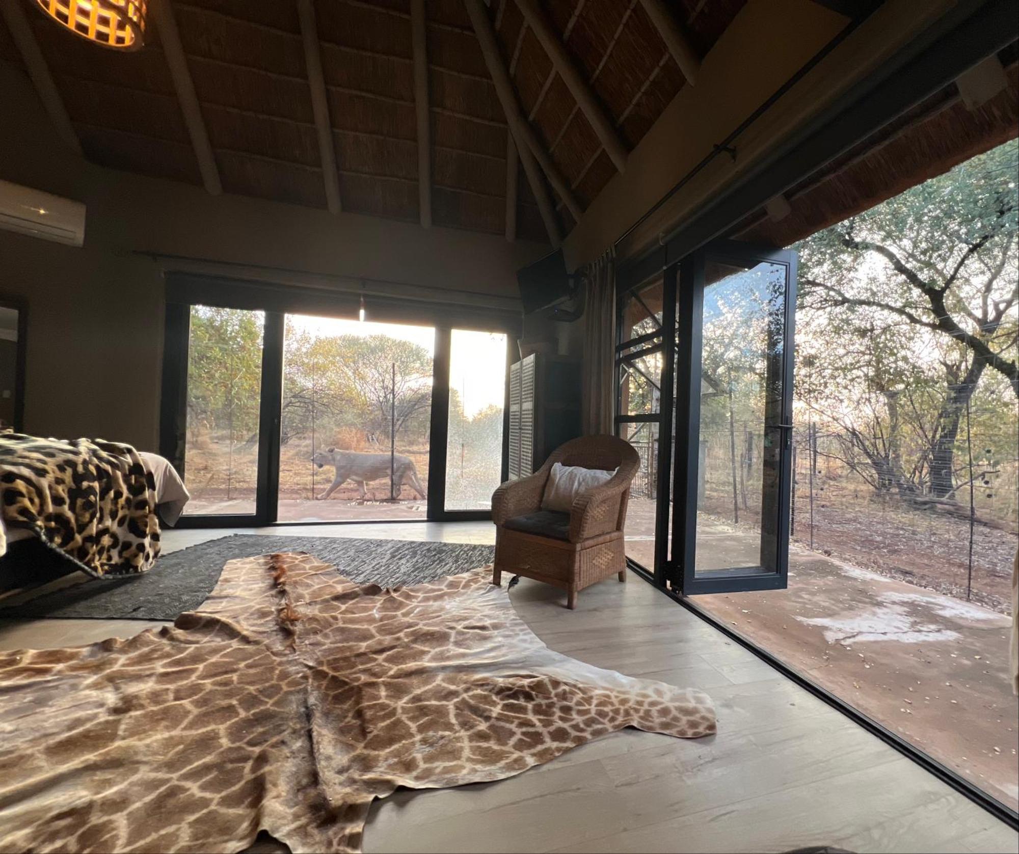 Simba Safaris African Pride Exotic Lodge Lephalale Esterno foto
