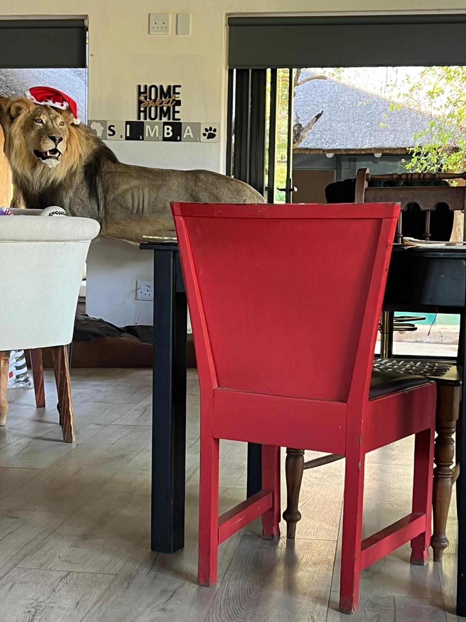 Simba Safaris African Pride Exotic Lodge Lephalale Esterno foto
