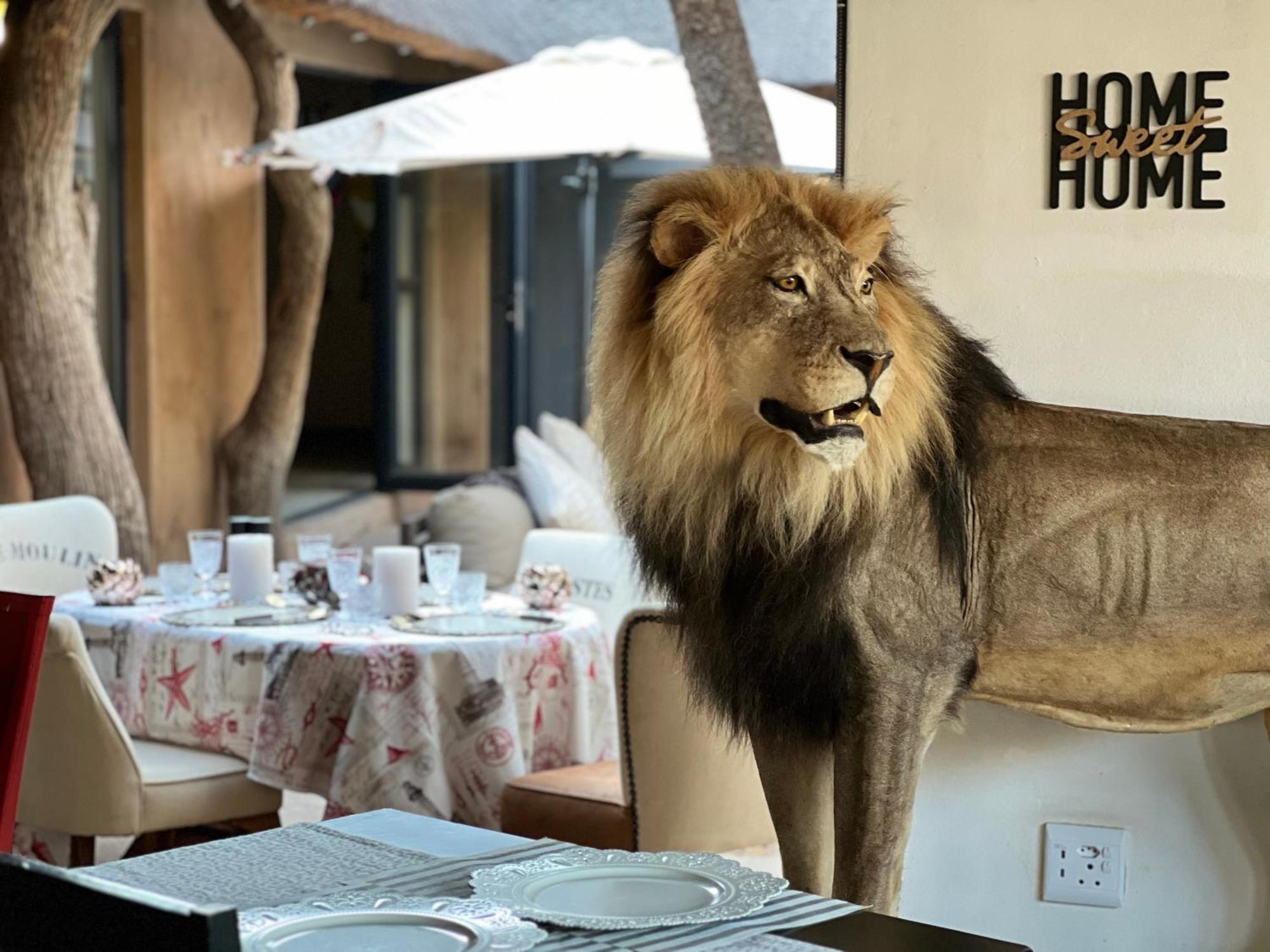Simba Safaris African Pride Exotic Lodge Lephalale Esterno foto