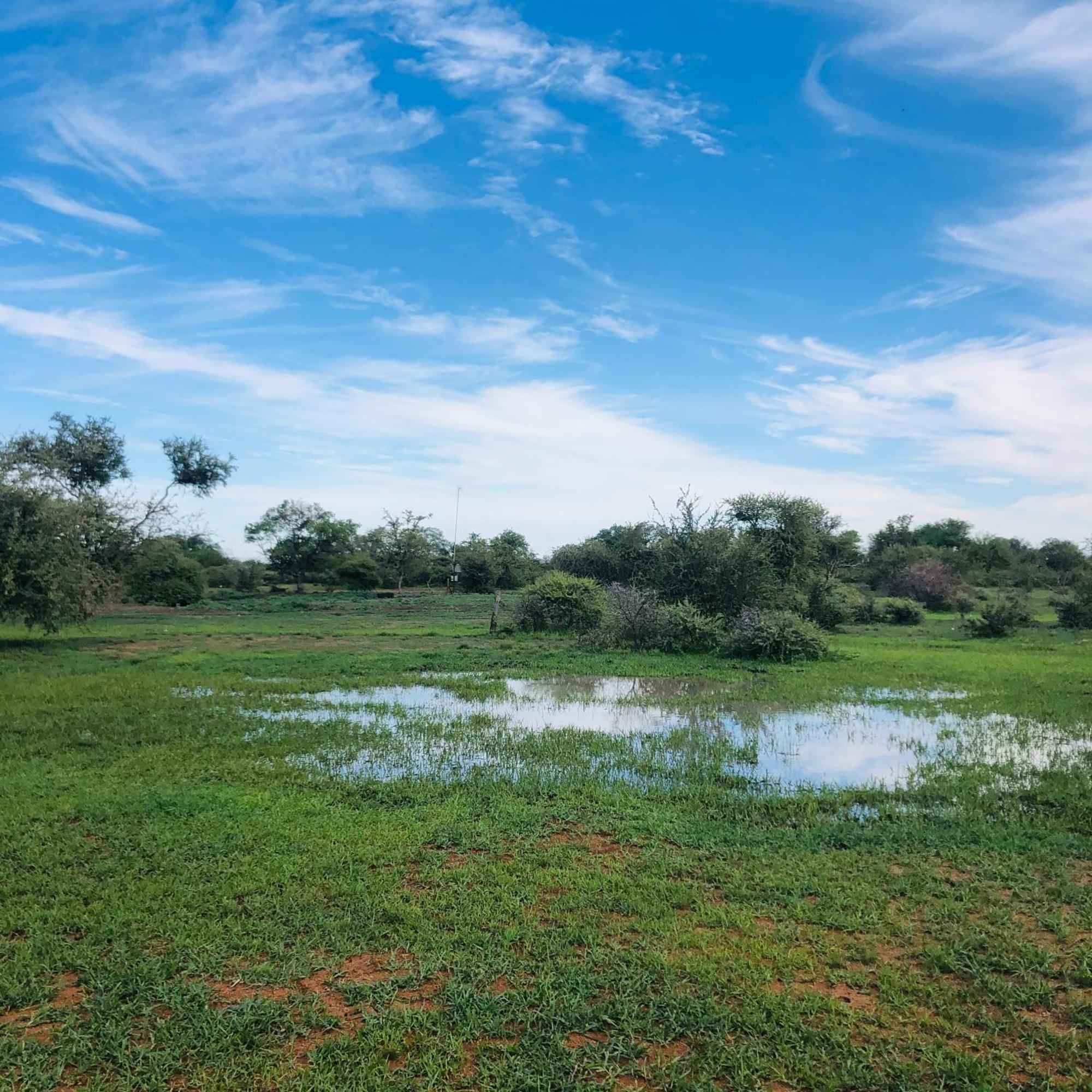 Simba Safaris African Pride Exotic Lodge Lephalale Esterno foto