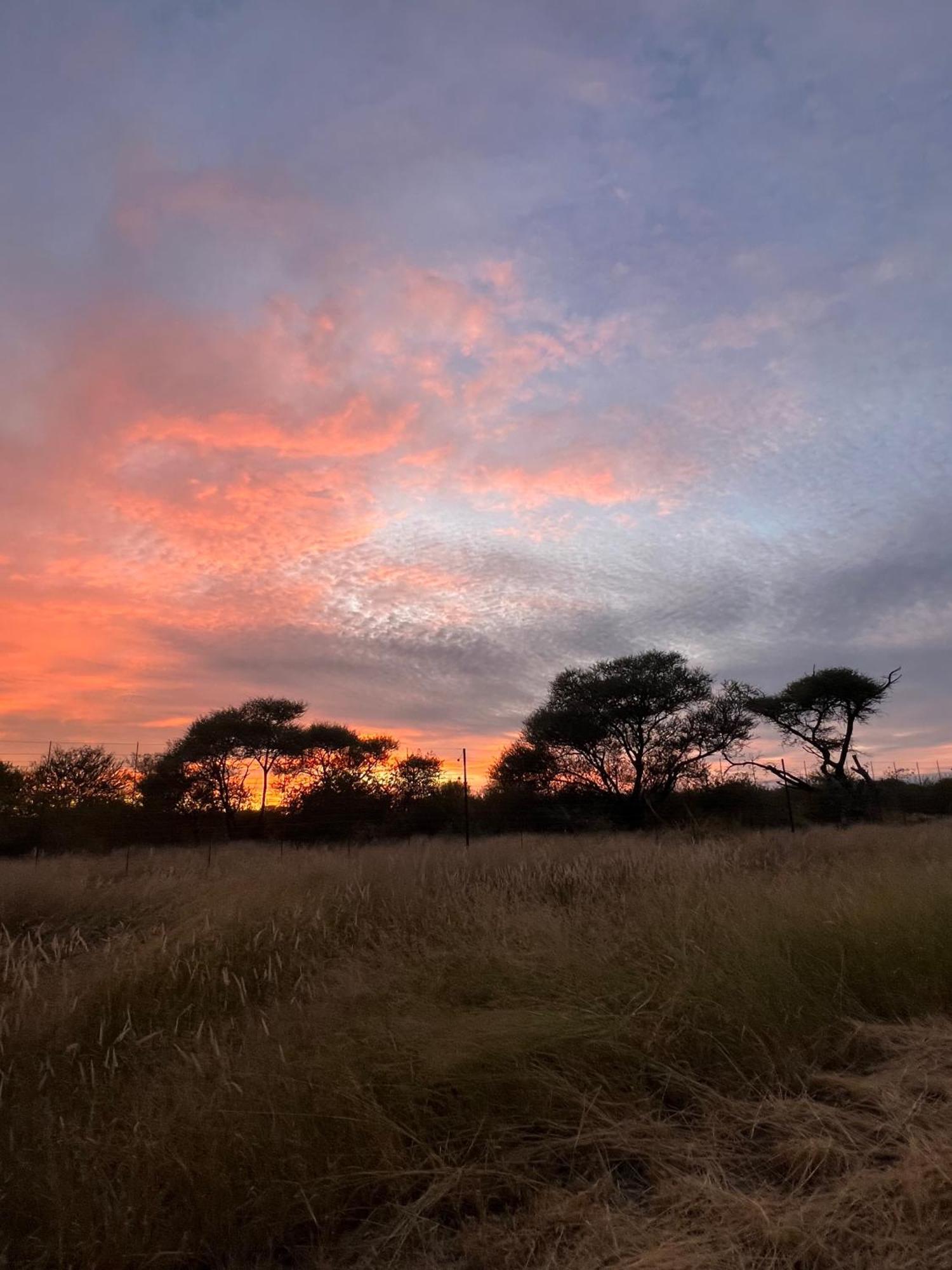 Simba Safaris African Pride Exotic Lodge Lephalale Esterno foto