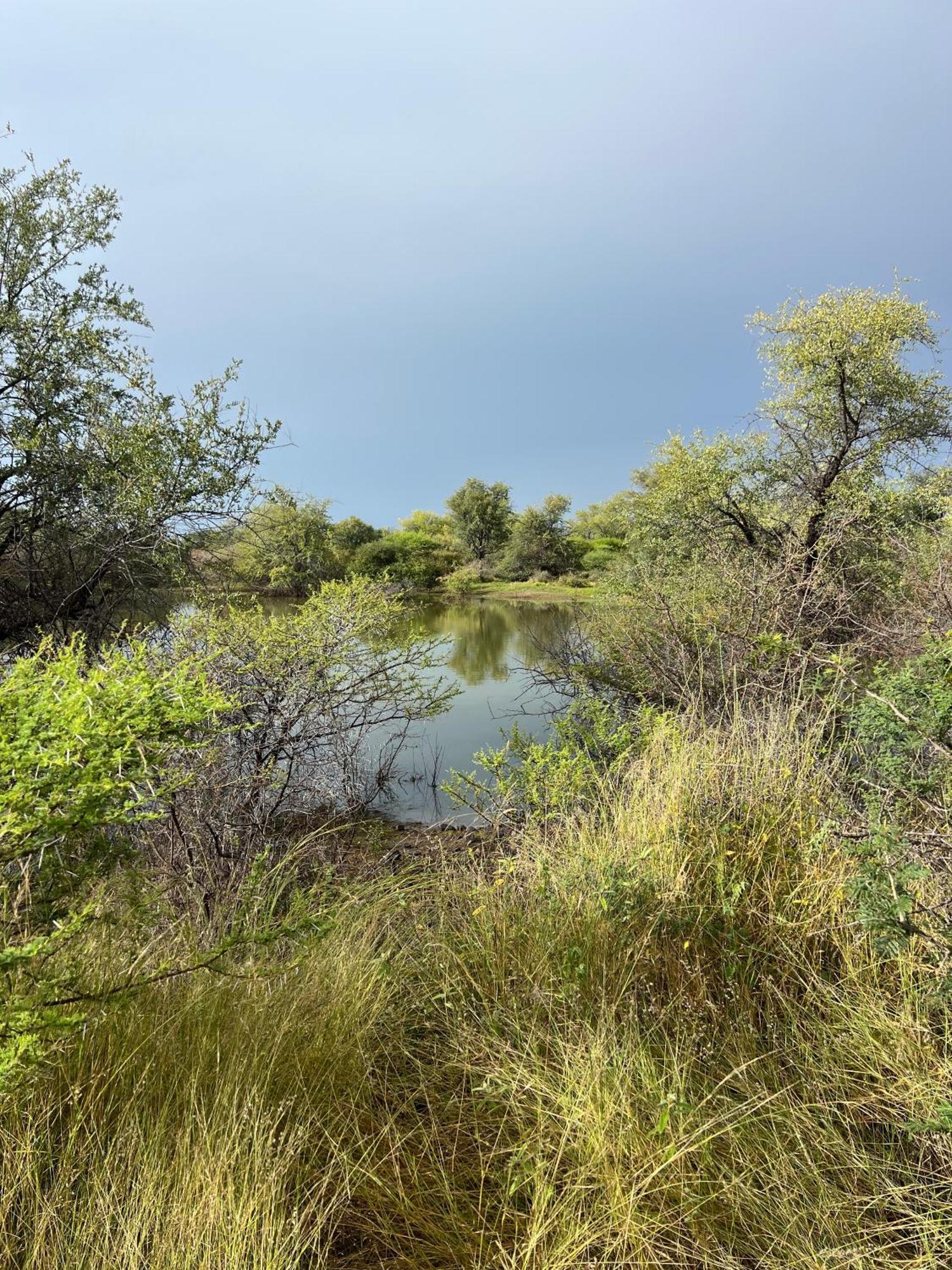 Simba Safaris African Pride Exotic Lodge Lephalale Esterno foto